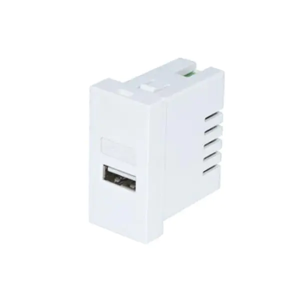 Enkelpoort Tipe A USB-laaier-sokmodule